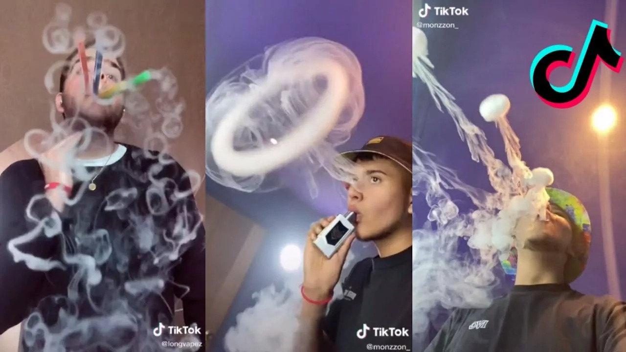 TikTok Ban Impact