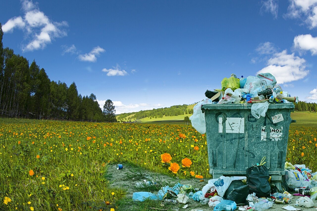 environmental challenge